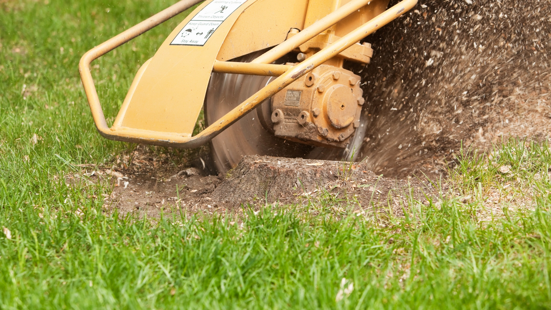 dessouchage artisan paysagiste entretien espaces verts