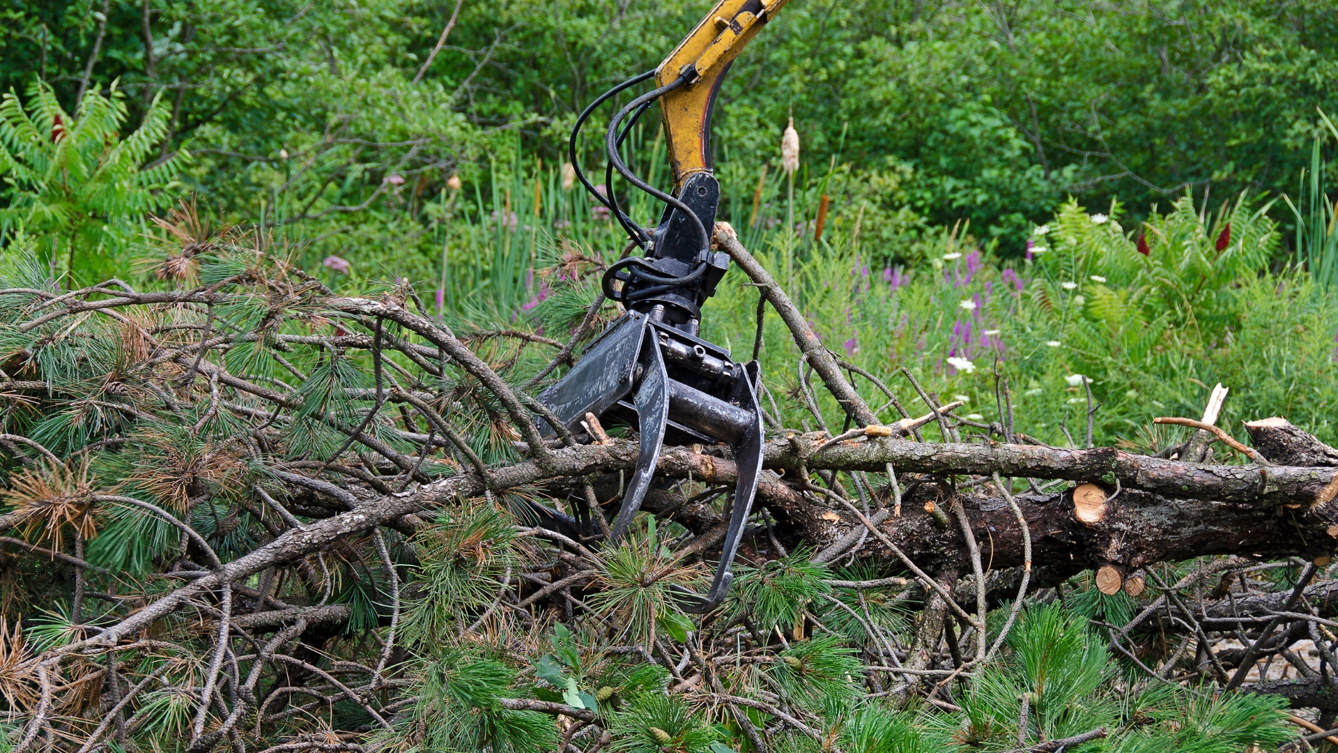 enlevement de bois artisan paysagiste entretien espaces verts