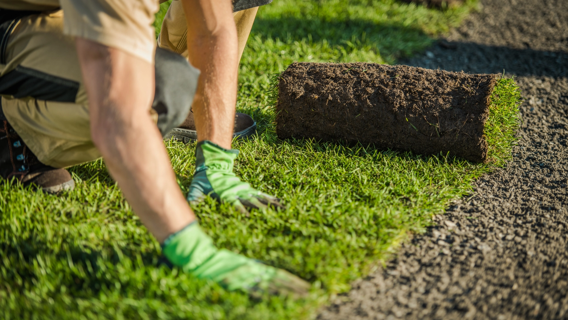 pose de gazon artisan paysagiste entretien espaces verts