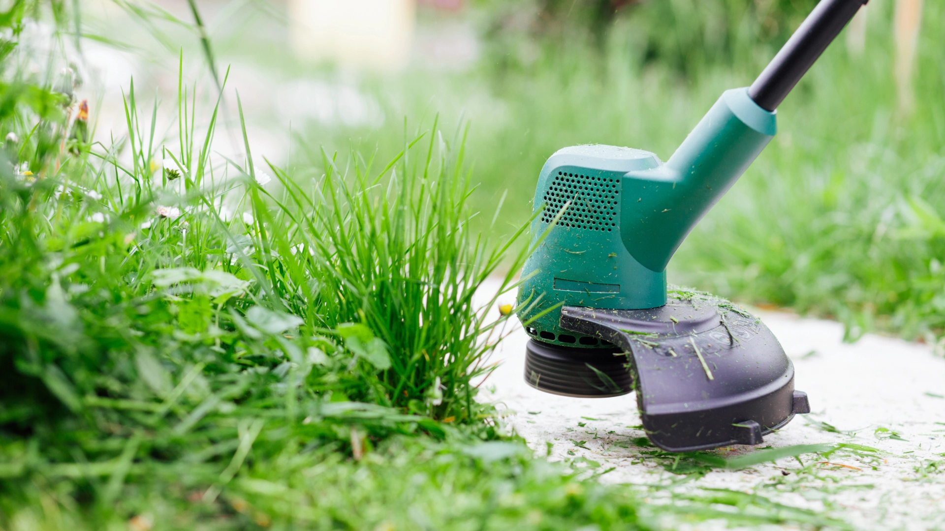 tonte de jardin artisan paysagiste entretien espaces verts