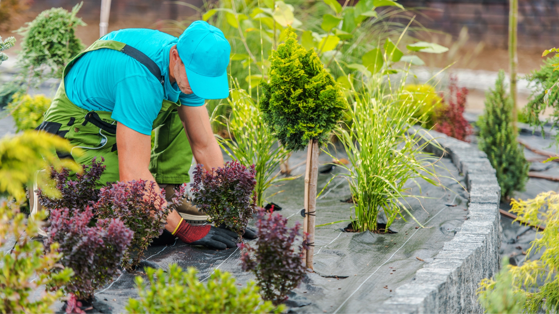 Entretien de jardin artisan paysagiste entretien espaces verts